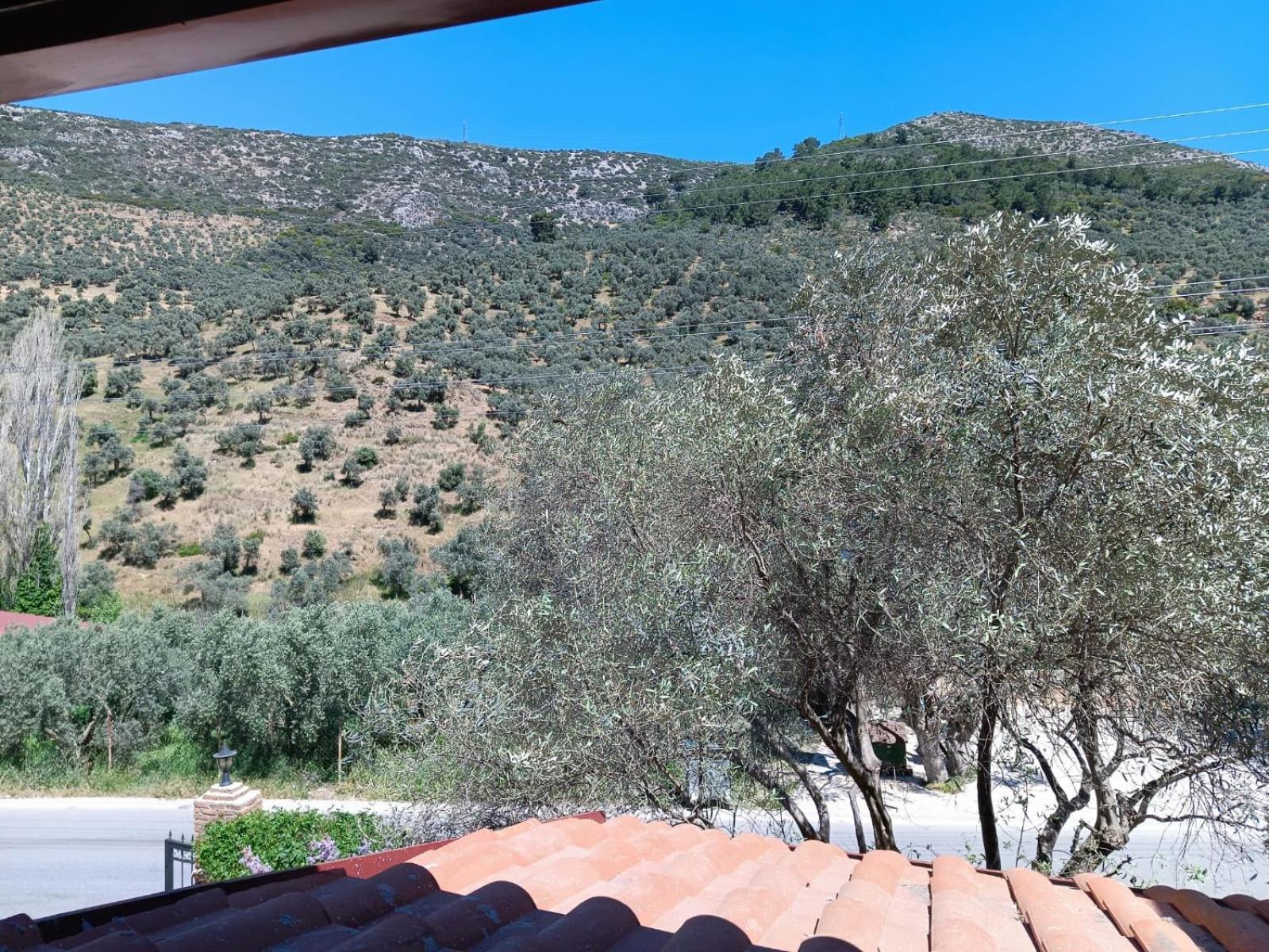 Sirince Klaseas Hotel&Restaurant Selcuk Exterior photo